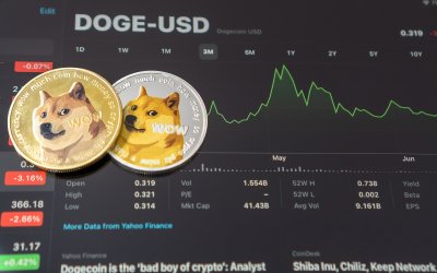 Преглед на Dogecoin: Съвместно бъдеще с Мъск